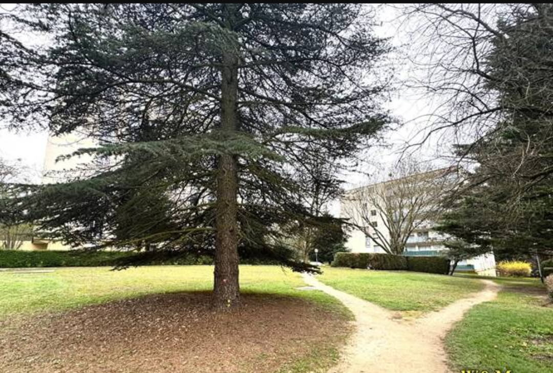 VASTE APPARTEMENT AVEC GRAND BALCON AU MILIEU D UN PARC