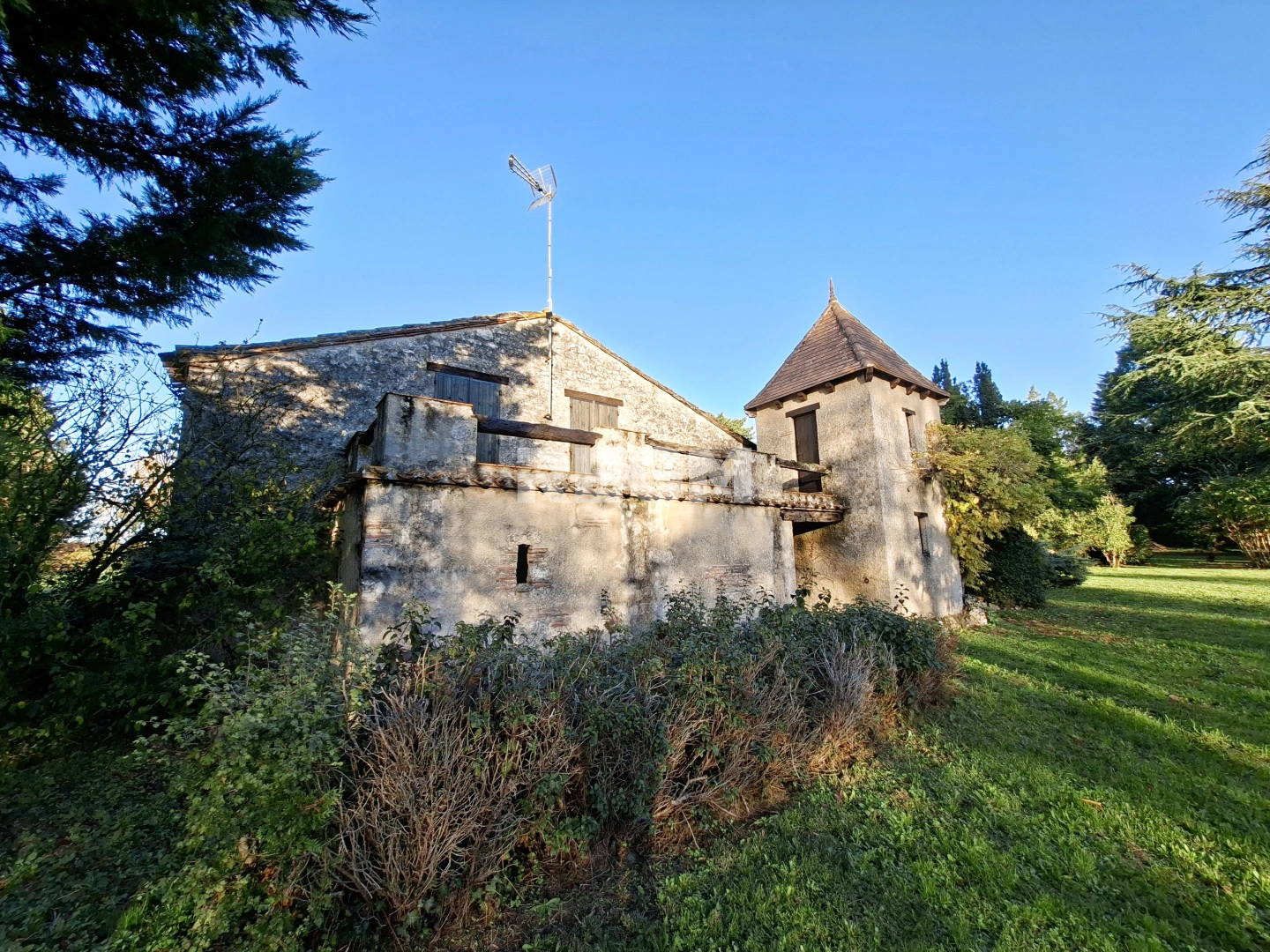 property